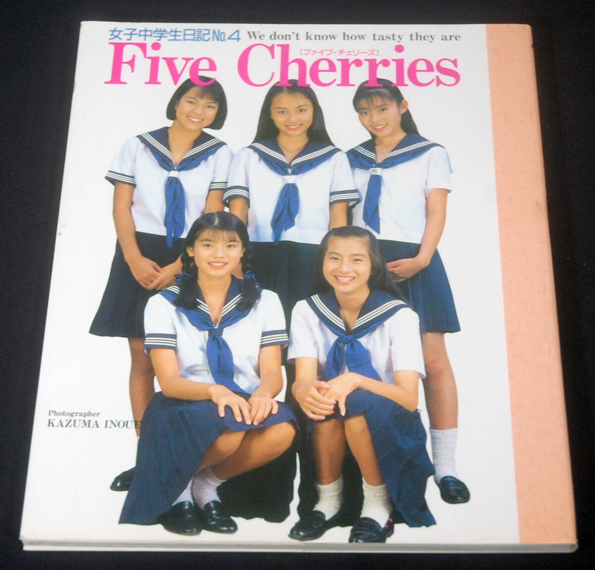 中古写真集 女子中学生制服図鑑 &frasl; 女子中学制服水着図鑑◇井上一真