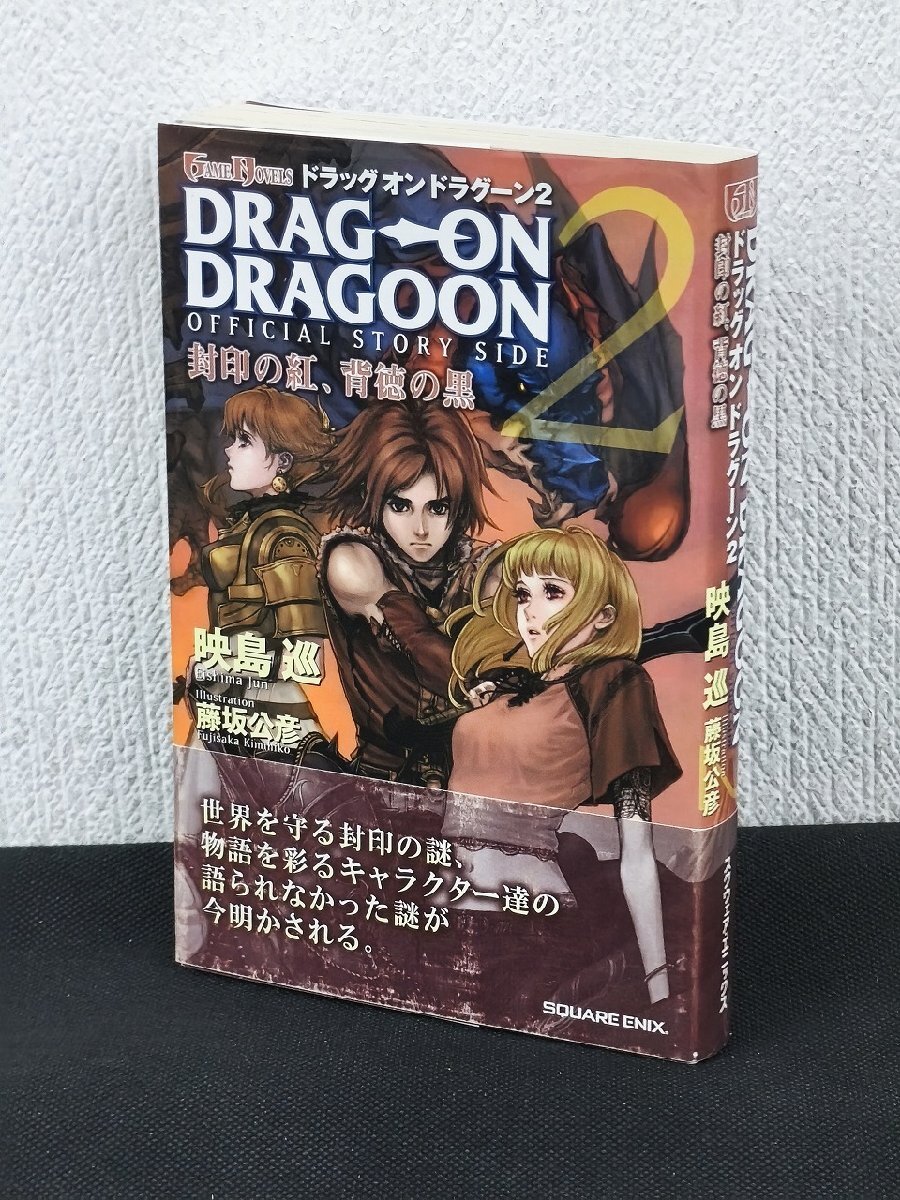 ドラッグオンドラグーン▽同人誌2冊セット／リッティリ米粒の落札情報