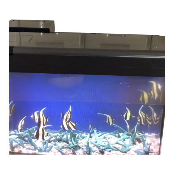 中古】◇(株)日本電気/NEC【魚八景ジュニア/SJ1010-02】バーチャル水槽