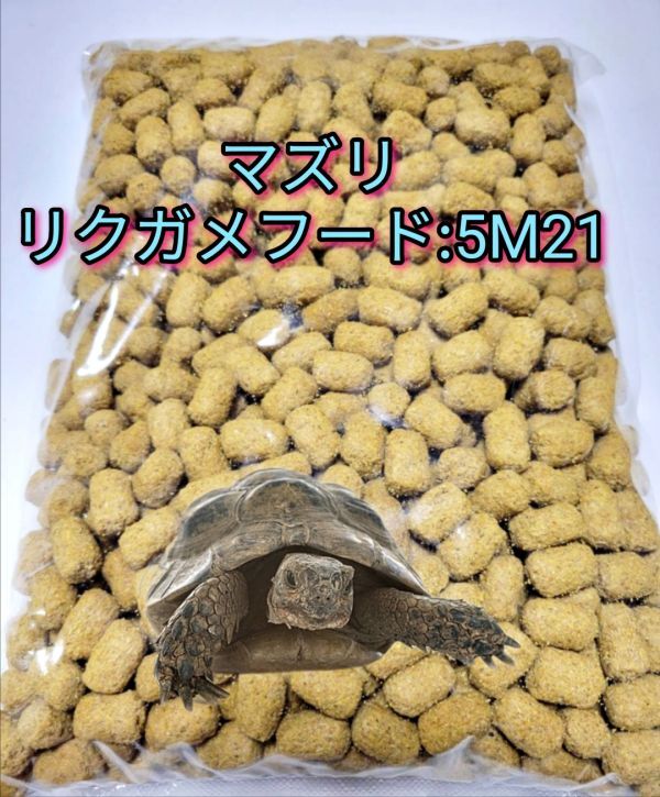 イグアナ ケージ 大型 爬虫類の落札情報詳細 - Yahoo!オークション落札