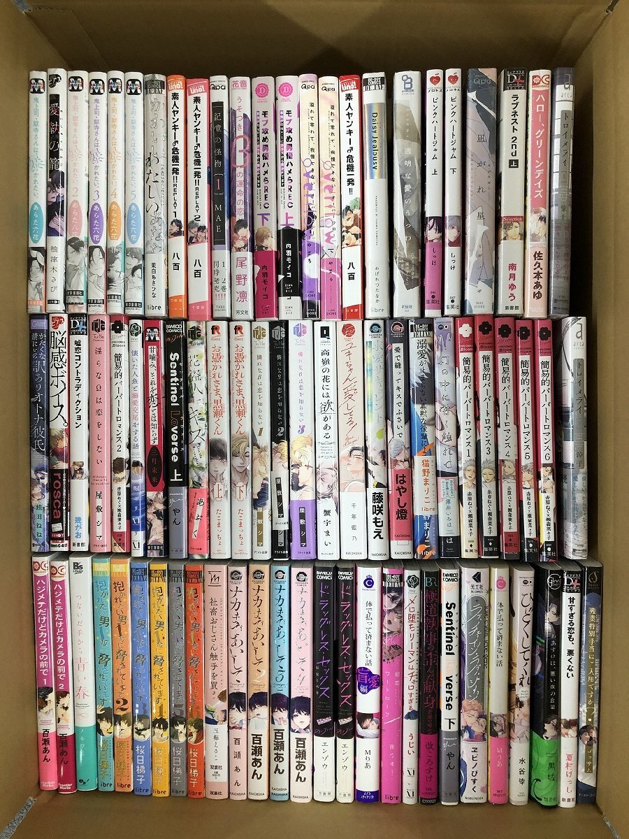 0620 マンガ 漫画 まとめ売り BL ボーイズラブ 本 S0 佐100 H3477の