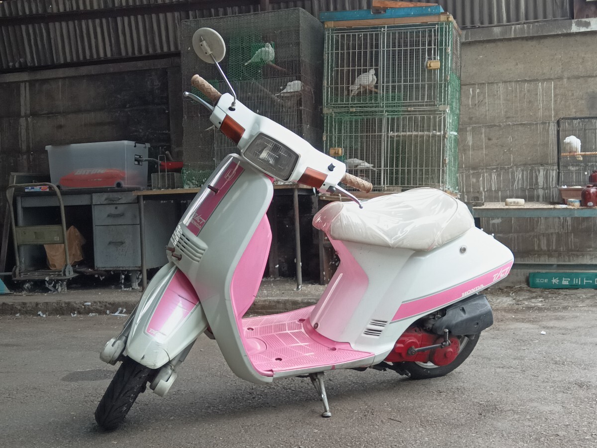 ホンダ スーパータクト AF09 クレージュタクト クレタク ピンク 程度