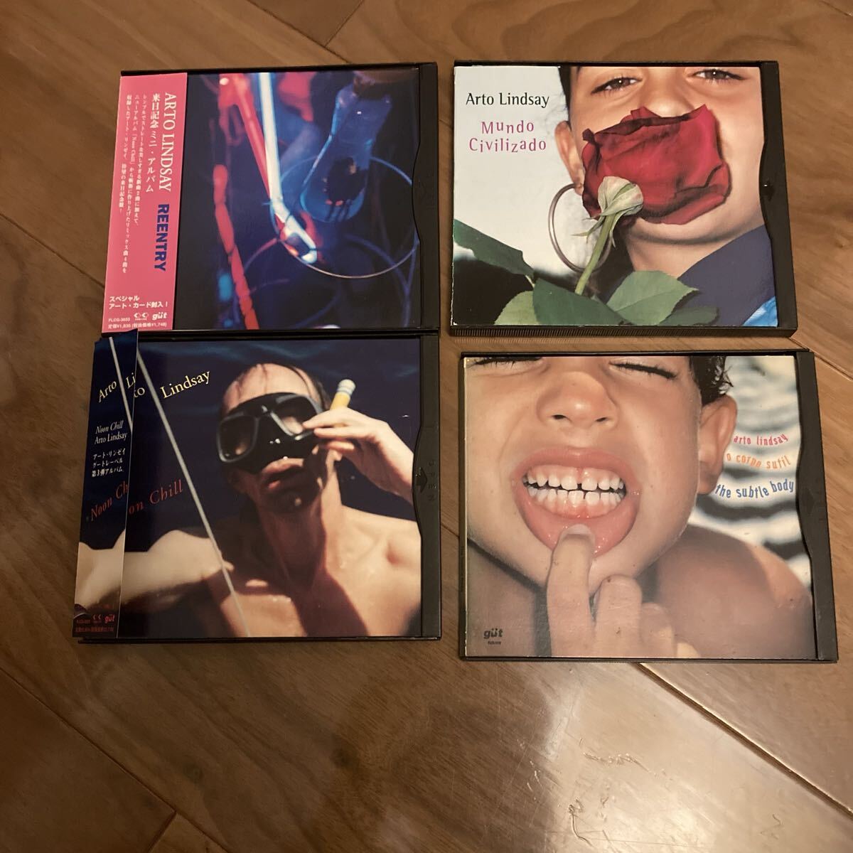 90's アート・リンゼイ Arto Lindsay (CD)/ 曖昧な存在 O Corpo Sutil