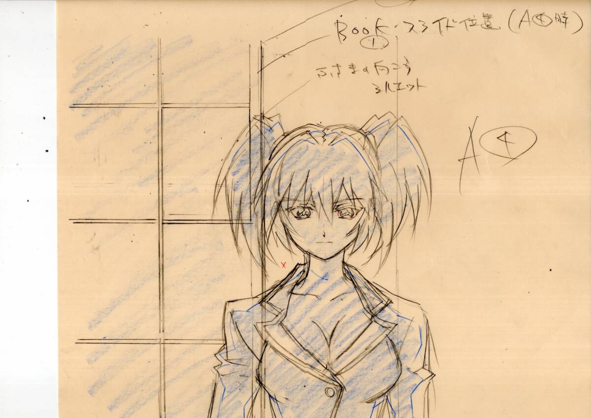 アニメ「一騎当千」原画・動画・修正セット 18枚の落札情報詳細