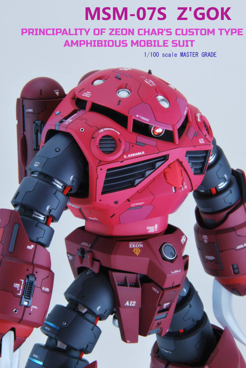 MG 1/100 シャア専用ズゴック 塗装済完成品 【公式通販】