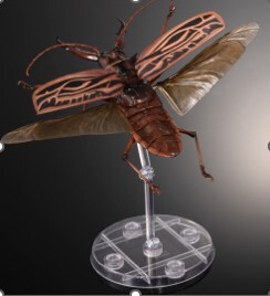 昆虫標本 ウスリーオオキバウスバカミキリ Callipogon relictusの落札
