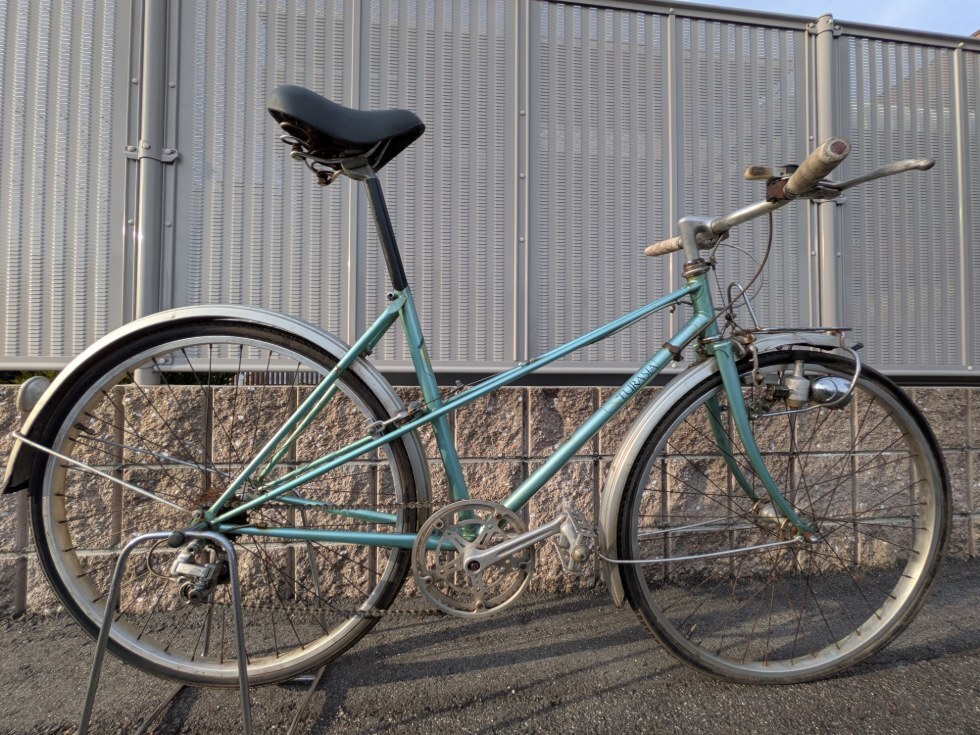 ブリジストン ユーラシア ランドナー 550mm