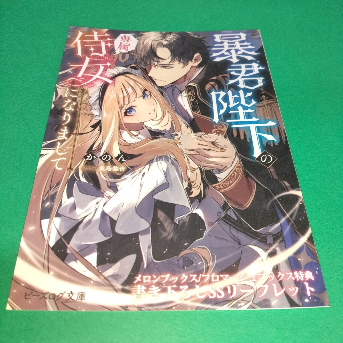 citrus + サブロウタ　特典　ブロマイド　イラストカード　リーフレット 新品即決☆ citrus+ 2巻 特典 5種 リーフレット イラストカード