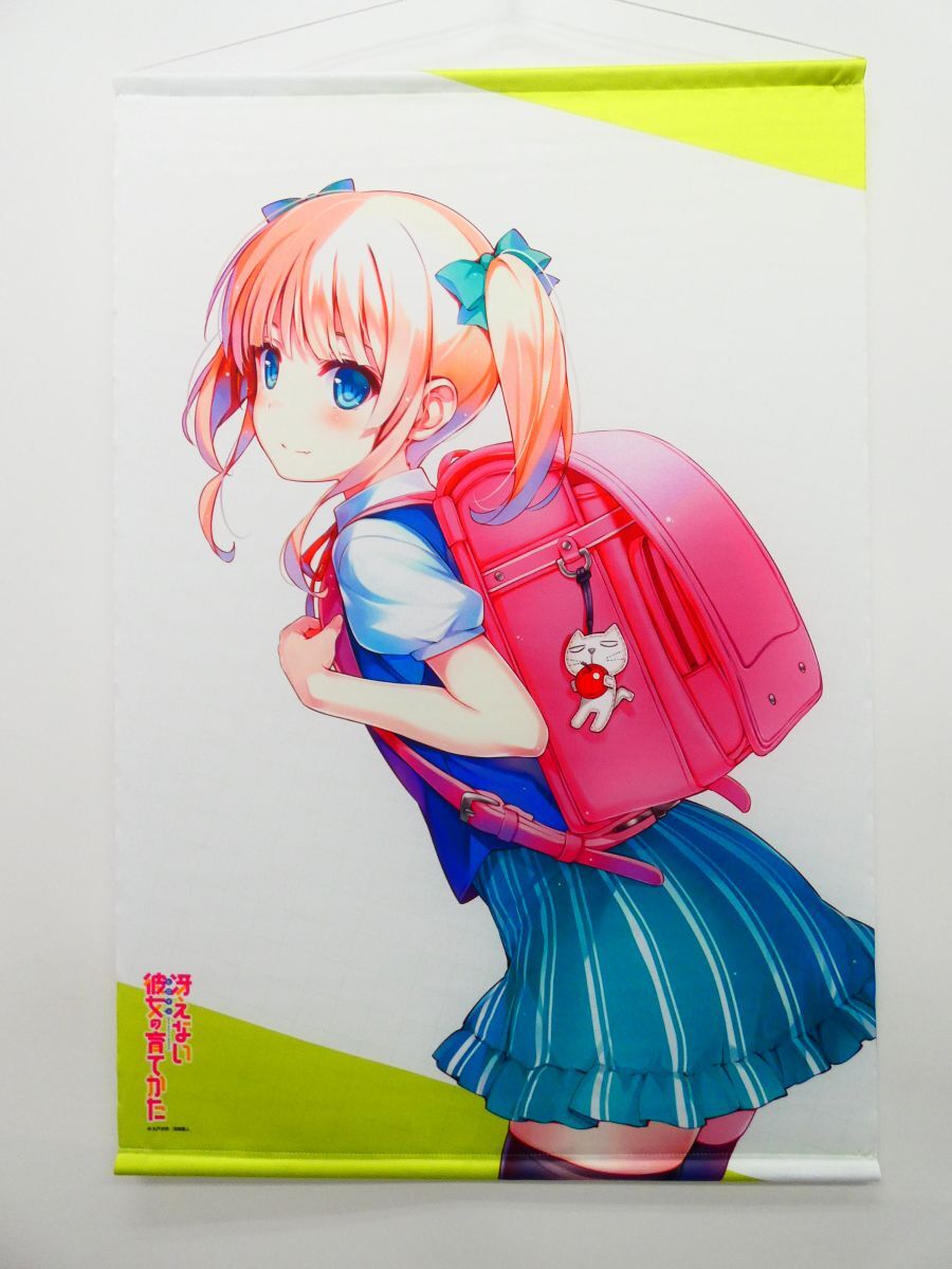 冴えない彼女の育てかた♭/全巻連動購入特典/深崎暮人描き下ろし お