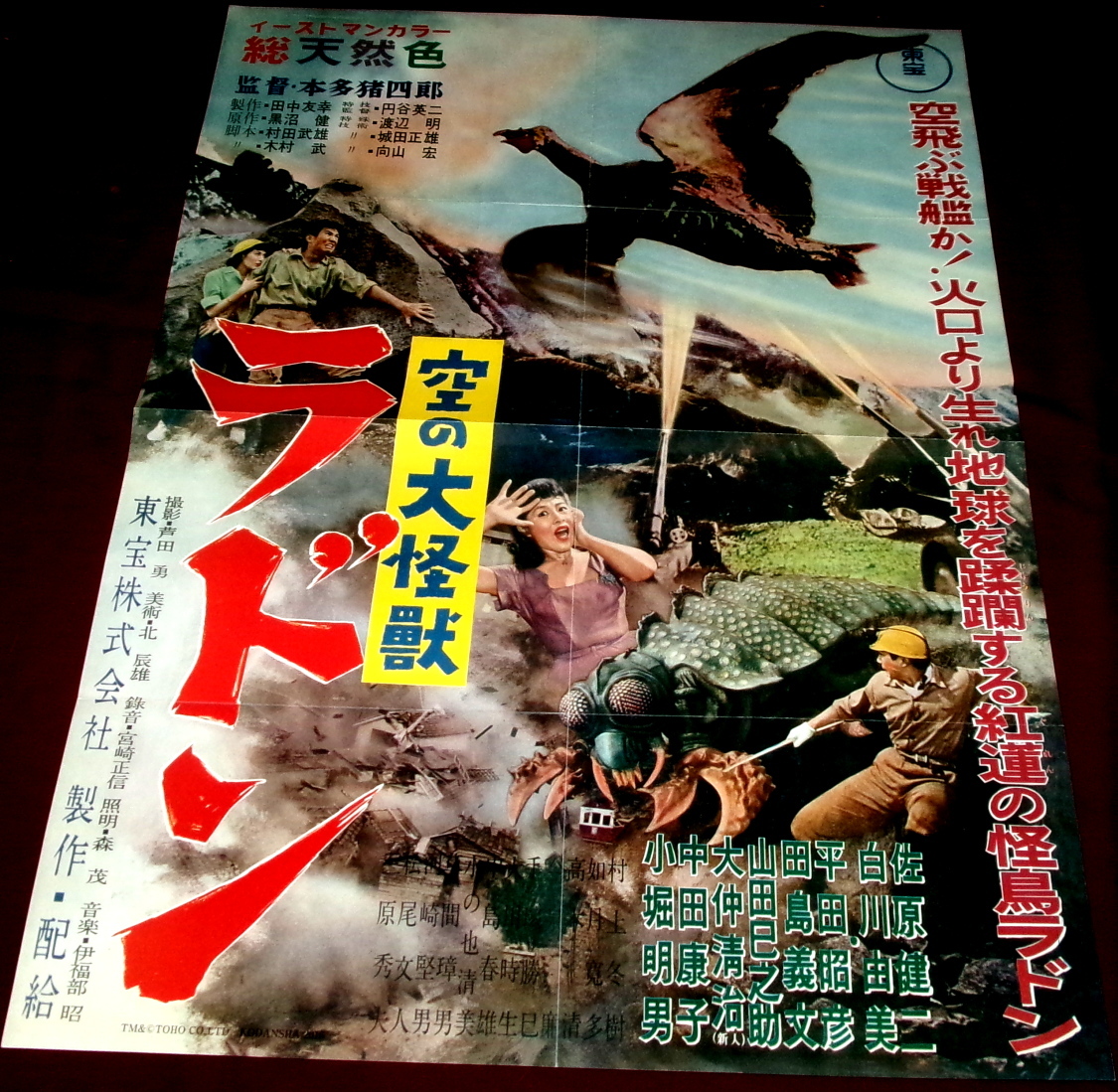 レトロ映画ポスター立看板 初版 東宝 大学の山賊たち 久保明 鶴田浩二