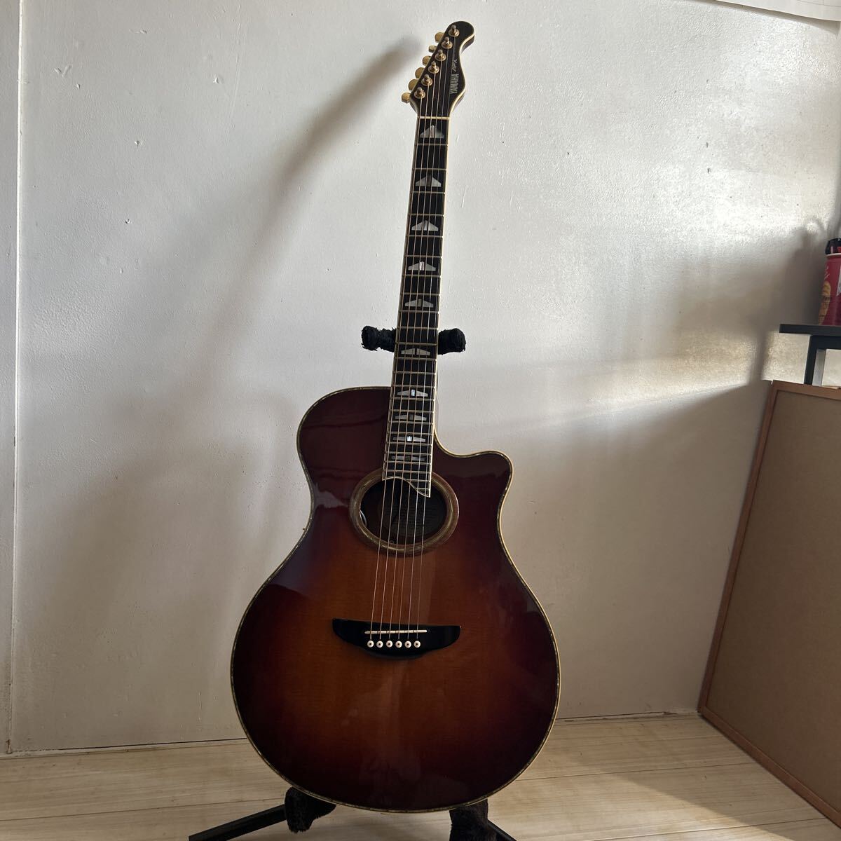 キャッツアイ Cat's Eyes CE25T-ST アコースティックギター アコギ