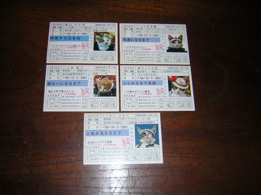 新品 即決 当時物 昭和レトロ なめんなよ パチ なめるなよ 免許証 ５種まとめて 駄玩具 駄菓子屋 暴走族 旧車 なめ猫 の落札情報詳細 ヤフオク落札価格情報 オークフリー スマートフォン版