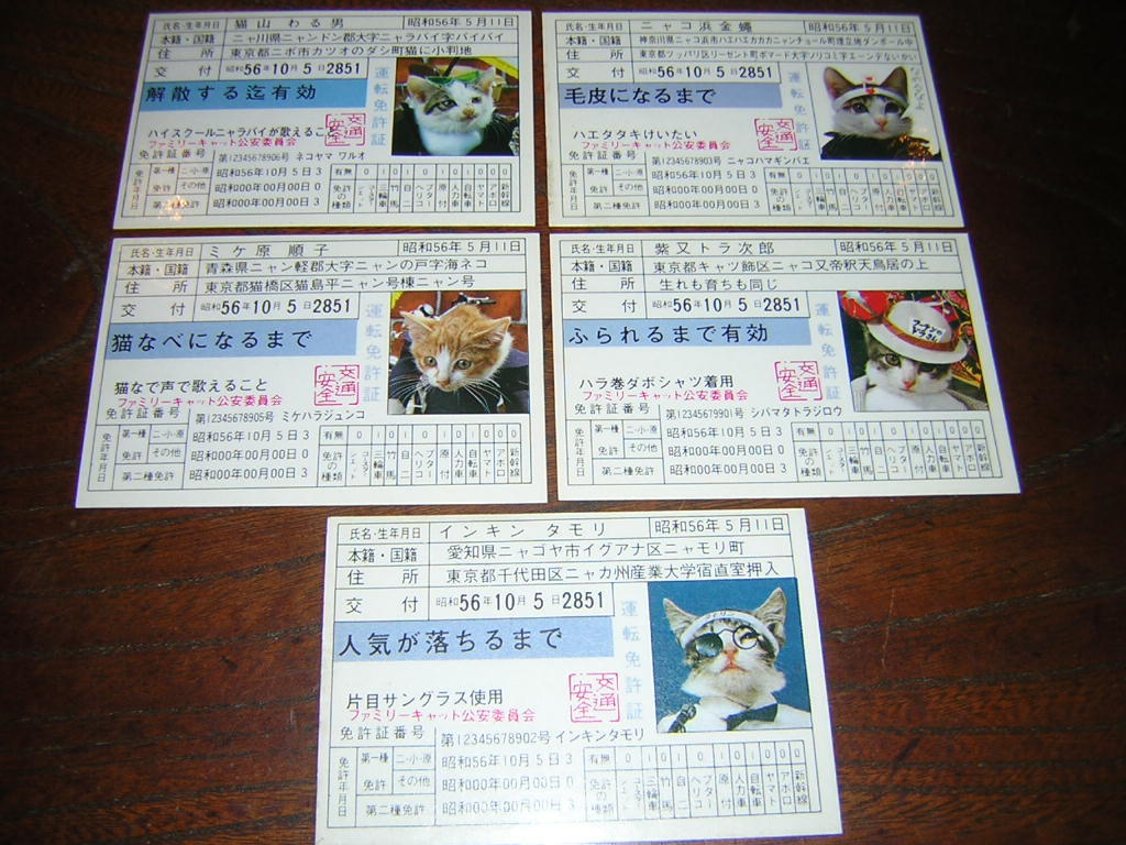 新品 即決 当時物 昭和レトロ なめんなよ パチ なめるなよ 免許証 ５種まとめて 駄玩具 駄菓子屋 暴走族 旧車 なめ猫 の落札情報詳細 ヤフオク落札価格情報 オークフリー スマートフォン版