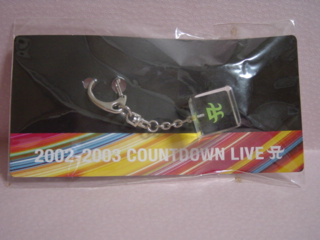 ☆浜崎あゆみ COUNTDOWN LIVE 2002-2003 キーホルダー グリーン (緑