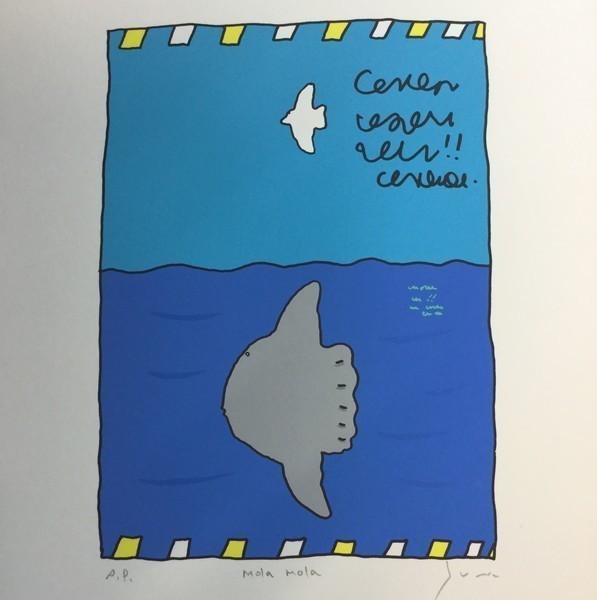 225 高畠純 Mola Mola サイン入り 原画 絵本作家 直筆 かもめ マンボウ イラスト デザイン アクリル の落札情報詳細 ヤフオク落札価格情報 オークフリー スマートフォン版