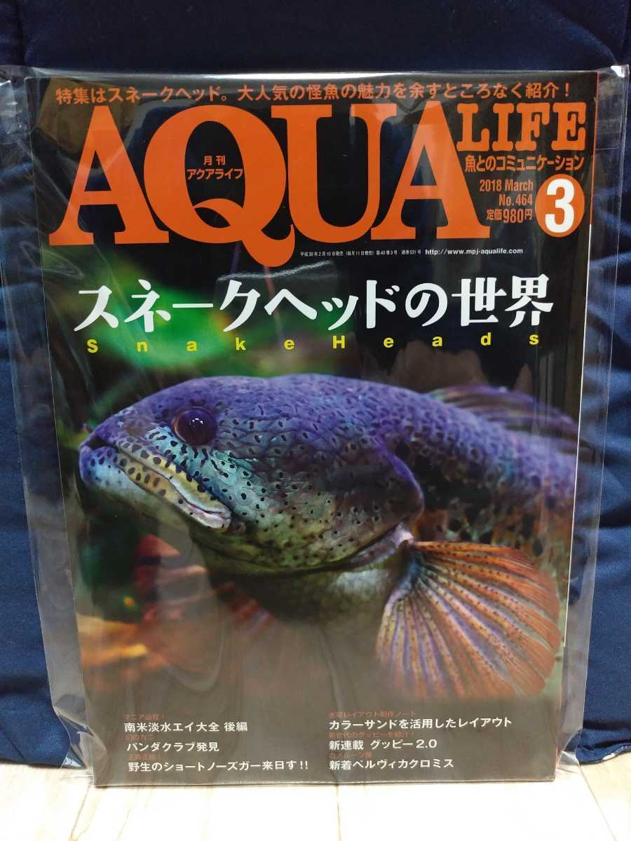 アクアライフ 18 3 スネークヘッドの世界 熱帯魚 の落札情報詳細 ヤフオク落札価格情報 オークフリー スマートフォン版