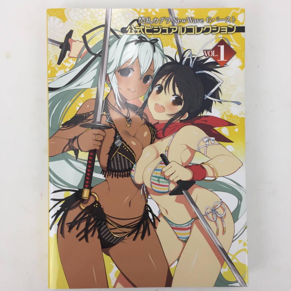 閃乱カグラ Newwave Gバースト 公式ビジュアルコレクション Vol 1 Vol 2 セット まとめ売り 中古品 の落札情報詳細 ヤフオク落札価格情報 オークフリー スマートフォン版