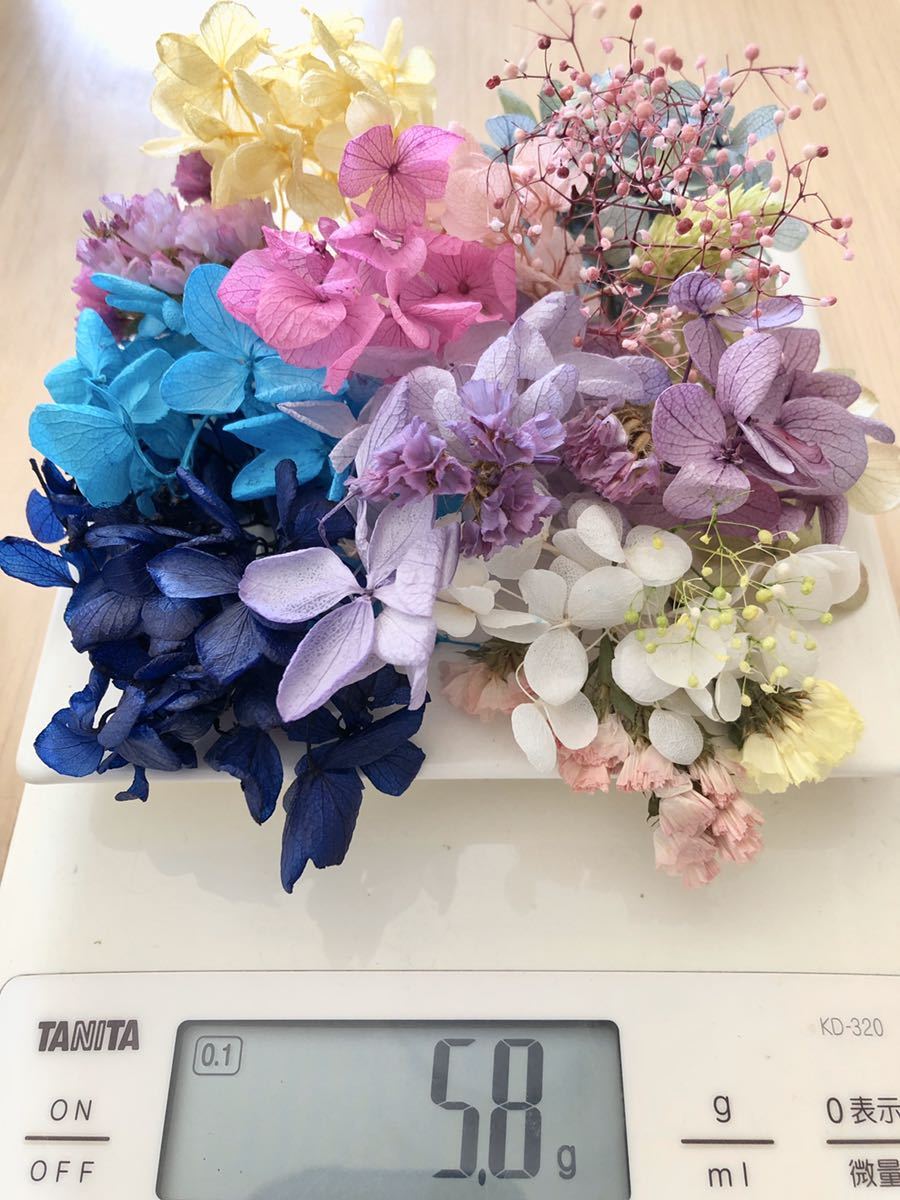 新品 ポロポロ 花材セット5 8g アジサイ 紫陽花 かすみ草 プリザーブド ドライフラワー 大地農園 小花詰め合わせ ハーバリウム花材 レジン の落札情報詳細 ヤフオク落札価格情報 オークフリー スマートフォン版 新品 ポロポロ 花材セット5 8g アジサイ 紫陽花 かすみ草 プリザーブド ドライフラワー 大地農園 小花詰め合わせ ハーバリウム花材 レジン の落札情報詳細 ヤフオク落札価格情報 オークフリー スマートフォン版