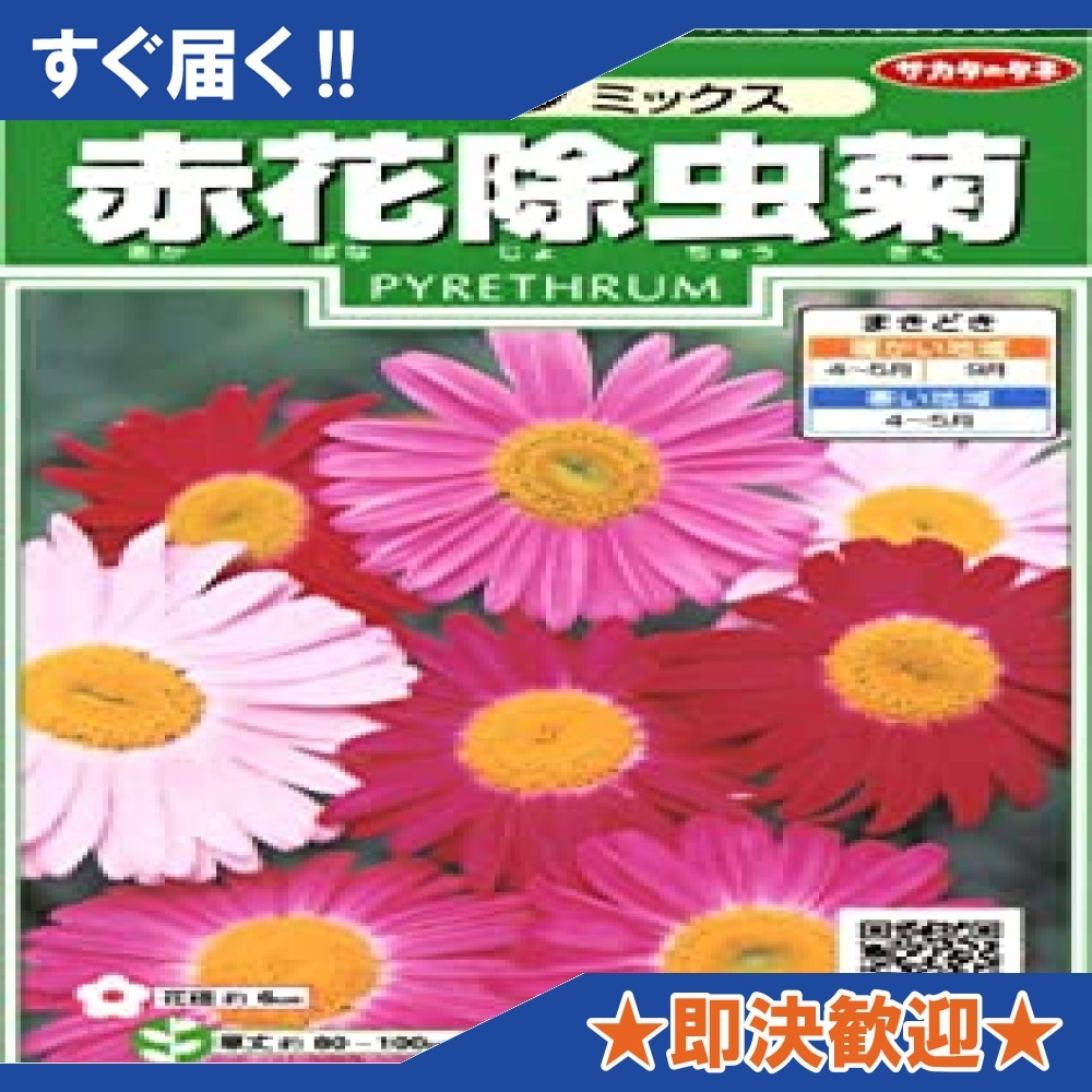 新品 即納 サカタのタネ 実咲花6435 赤花除虫菊 ロビンソンミックス の落札情報詳細 ヤフオク落札価格情報 オークフリー スマートフォン版