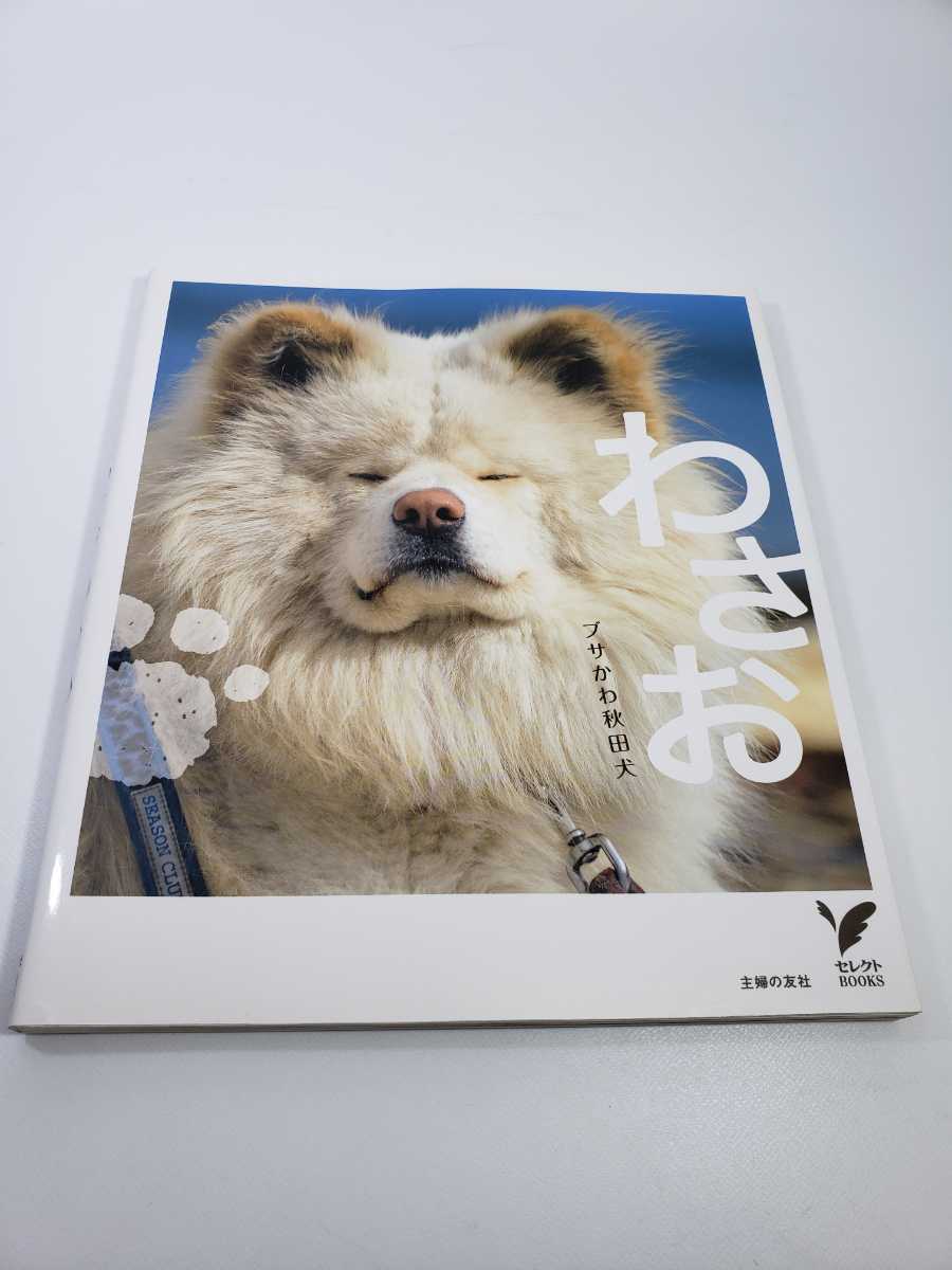 ブサかわ秋田犬 わさお 写真集 主婦の友社 の落札情報詳細 ヤフオク落札価格情報 オークフリー スマートフォン版 ブサかわ秋田犬 わさお 写真集 主婦の友社 の落札情報詳細 ヤフオク落札価格情報 オークフリー スマートフォン版
