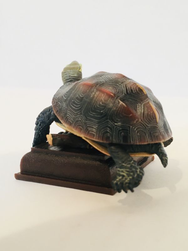 ヤエヤマセマルハコガメ 亀 フィギュア カメ 日本 生き物 生物 動物 ミニチュア ２ の落札情報詳細 ヤフオク落札価格情報 オークフリー スマートフォン版