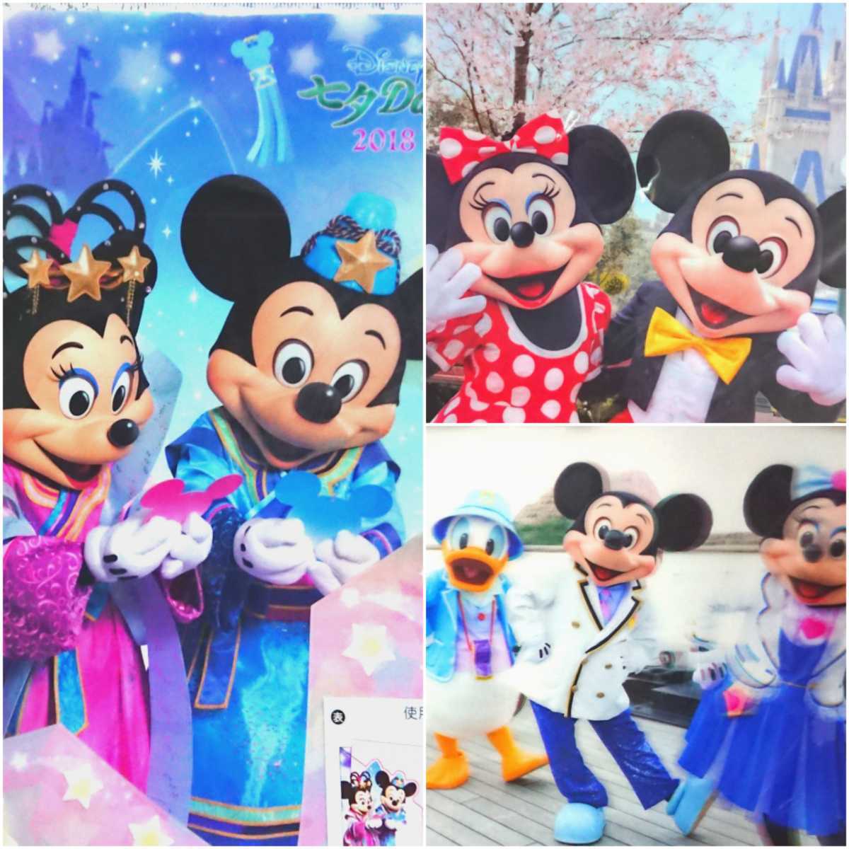 ディズニーリゾート 実写 写真 4種セット ミッキー ドナルド ミニー Rdb68gnuny Godawaripowerispat Com