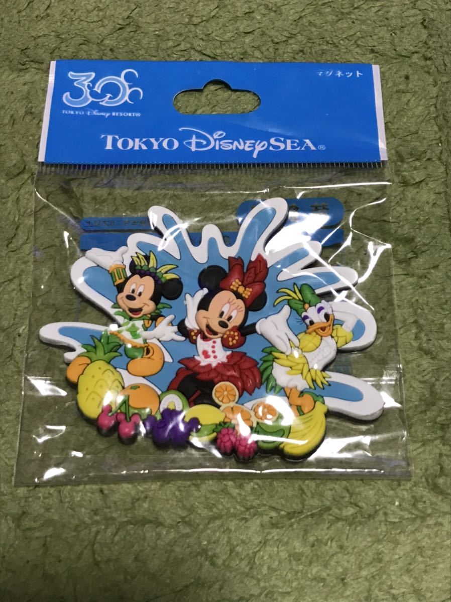 新品 ディズニー サマーフェスティバル マグネット 東京ディズニーシー Tds ミッキー ミニー デイジー Disney の落札情報詳細 ヤフオク落札価格情報 オークフリー スマートフォン版