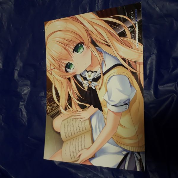 新品 Summer Pockets Reflection Blue サマポケ展 イラストカード 紬 ヴェンダース サマーポケッツ 紬ヴェンダース の落札情報詳細 ヤフオク落札価格情報 オークフリー スマートフォン版