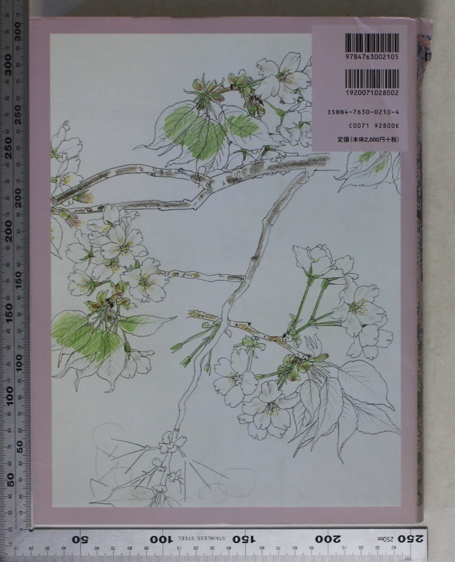美術 中島千波 さくら図鑑 デッサンと作品シリーズ 求龍堂 補足 芸術日本画絵画挿絵淡墨桜臥龍桜瀧桜枝垂桜観音桜神代桜醍醐桜夜桜富士 の落札情報詳細 ヤフオク落札価格情報 オークフリー スマートフォン版