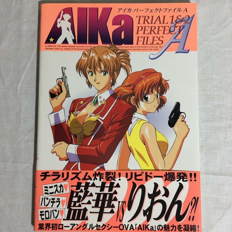 AIKAアイカ パーフェクトファイルA・B＋グラフィック 山内則康