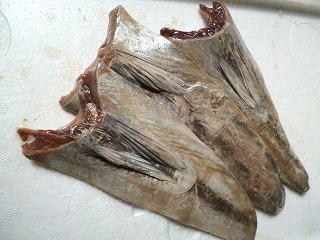 新品 お徳用 冷凍 超特エサ 鰹はらも ハラス ブロック1ｋｇ の落札情報詳細 ヤフオク落札価格情報 オークフリー スマートフォン版