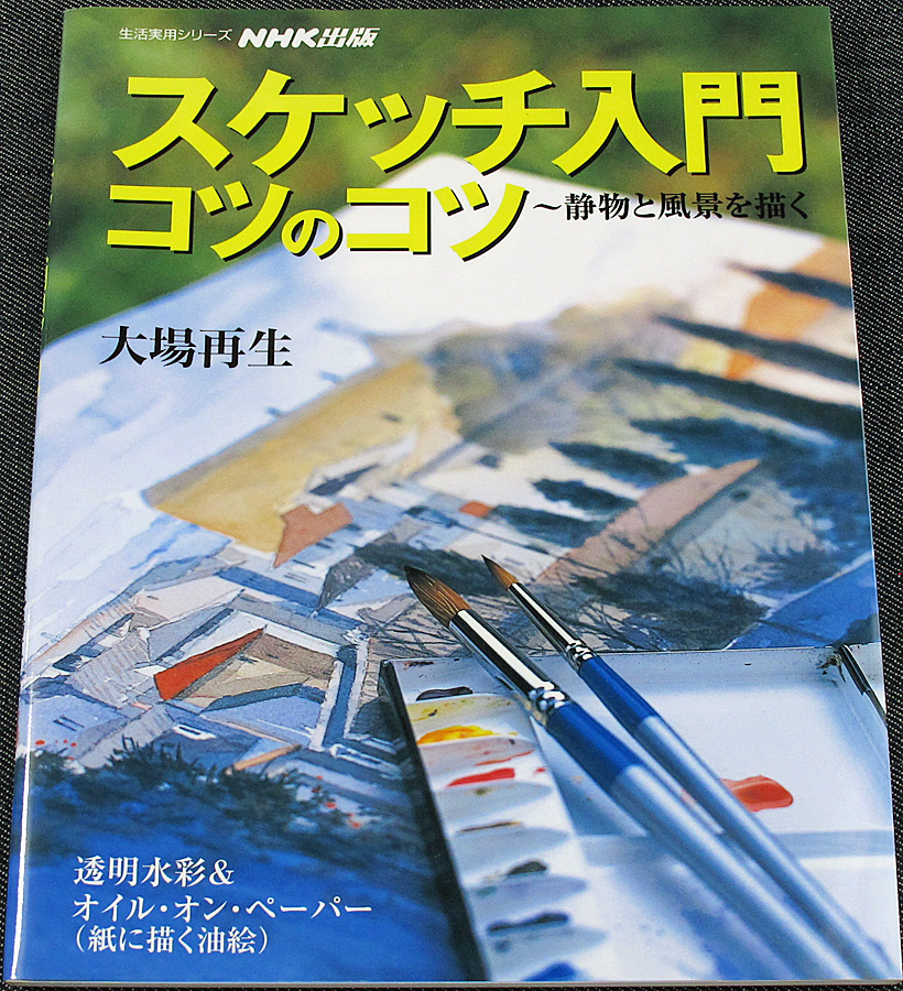 スケッチ入門 コツのコツ 静物と風景を描く 絵画 デザイン 描き方 デッサン 道具 水彩画 絵の具 静物画 風景画 教習本 S の落札情報詳細 ヤフオク落札価格情報 オークフリー スマートフォン版