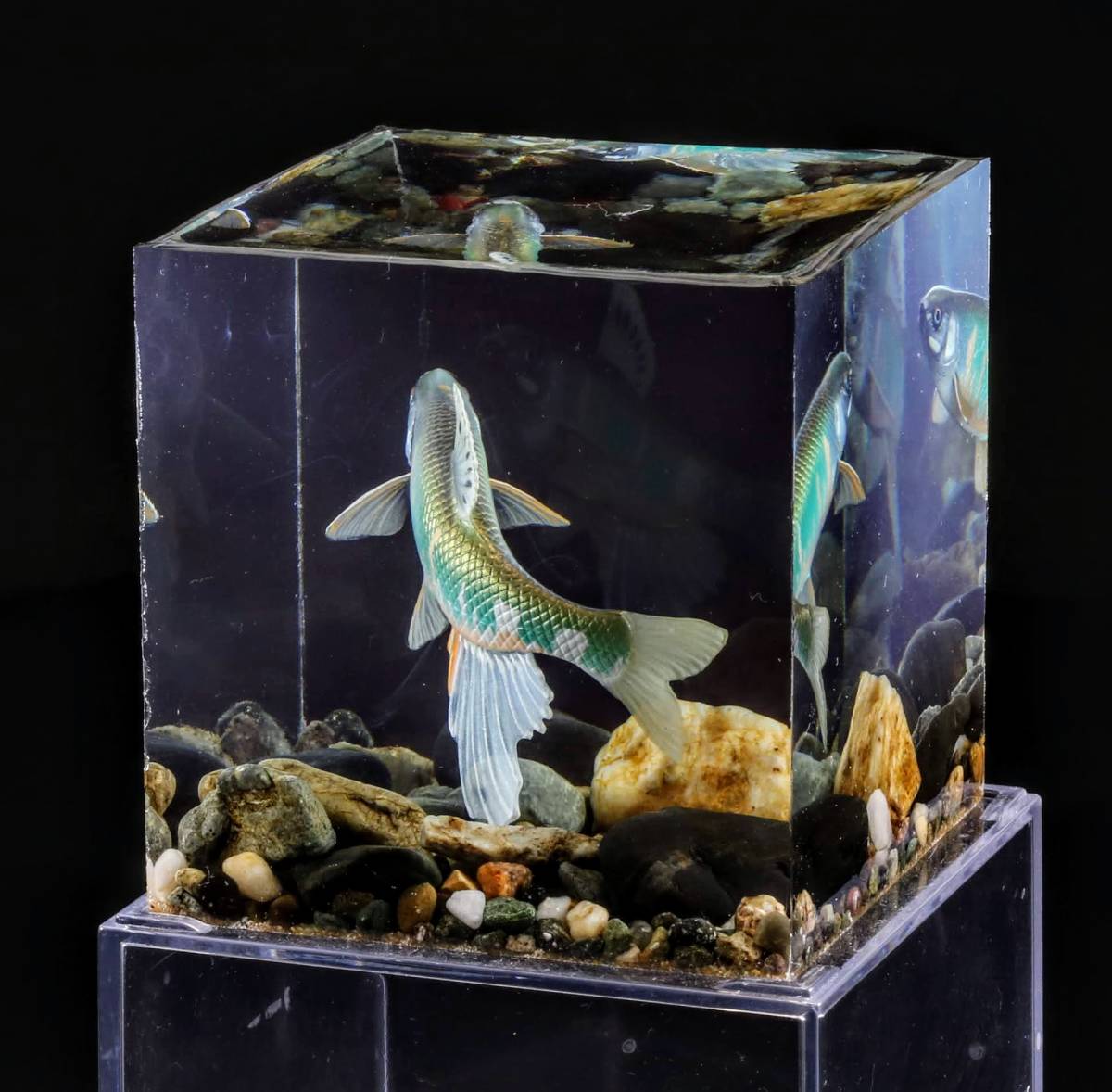 オイカワの水中ジオラマ 制作 にご Underwater Diorama Of Common Ninnow の落札情報詳細 ヤフオク落札価格情報 オークフリー スマートフォン版
