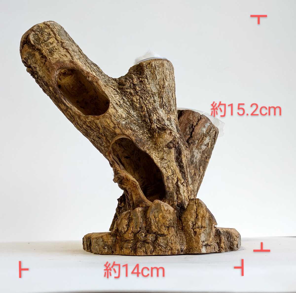 新品】昆虫 クワガタ カブトムシ 天然木隠れ家 のぼり木 エサ皿