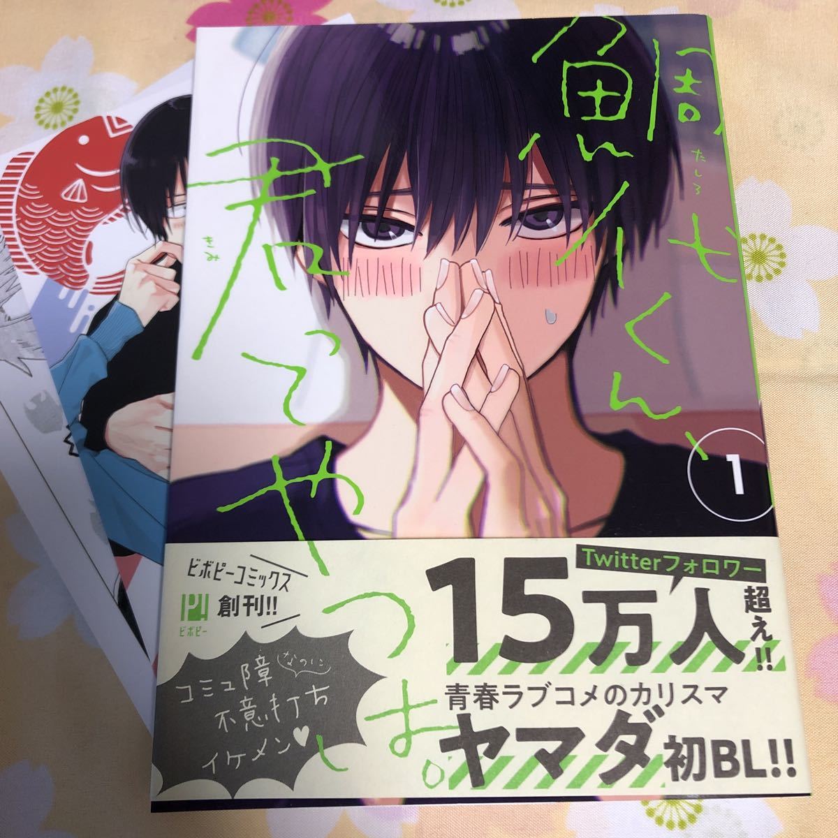 八犬伝 東方八犬異聞 全24巻セット あべ美幸 ポストカード2枚付き