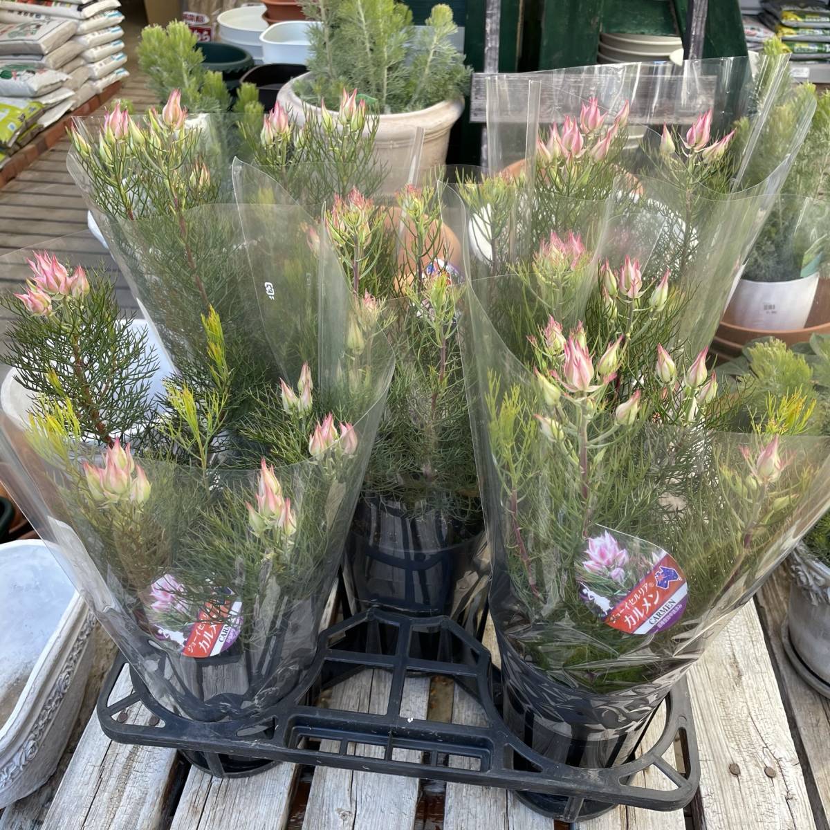 コントロールセンターqrコード