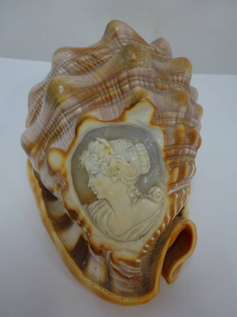 シェルカメオ 貝細工 浮き彫り 彫刻 貝殻 オブジェ 置物 m168 最終値下げ