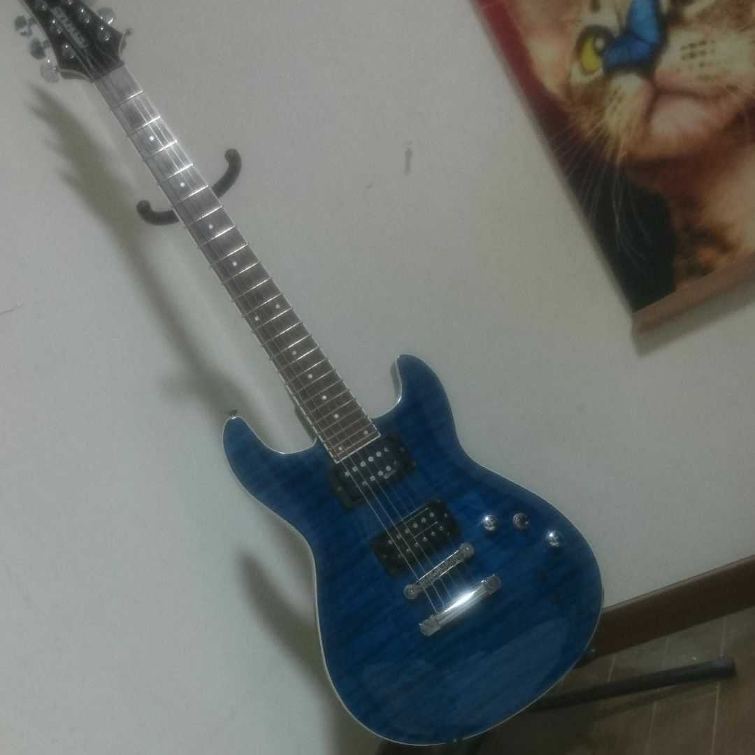 FERNANDES フェルナンデス エレキギター ブルー 青 メープル