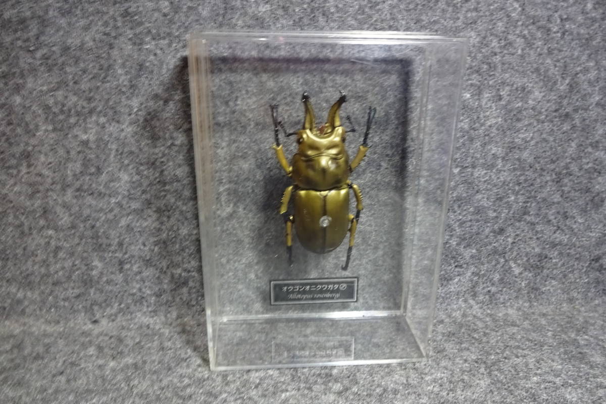 デアゴスティーニ 【世界の昆虫シリーズ 】フィギュア カブトムシ