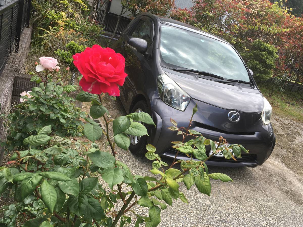 コミコミ万スタート トヨタiq 1300 燃費良し 結構パワフル 車検 令和5年3月まで の落札情報詳細 ヤフオク落札価格情報 オークフリー スマートフォン版