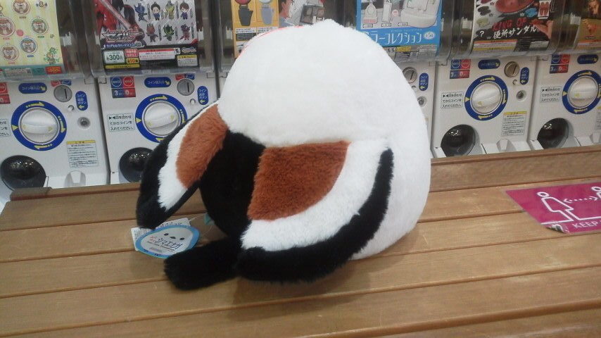 新品 ふくふくシマエナガ おちゃめさん ぬいぐるみ お花 小鳥 の落札情報詳細 ヤフオク落札価格情報 オークフリー スマートフォン版