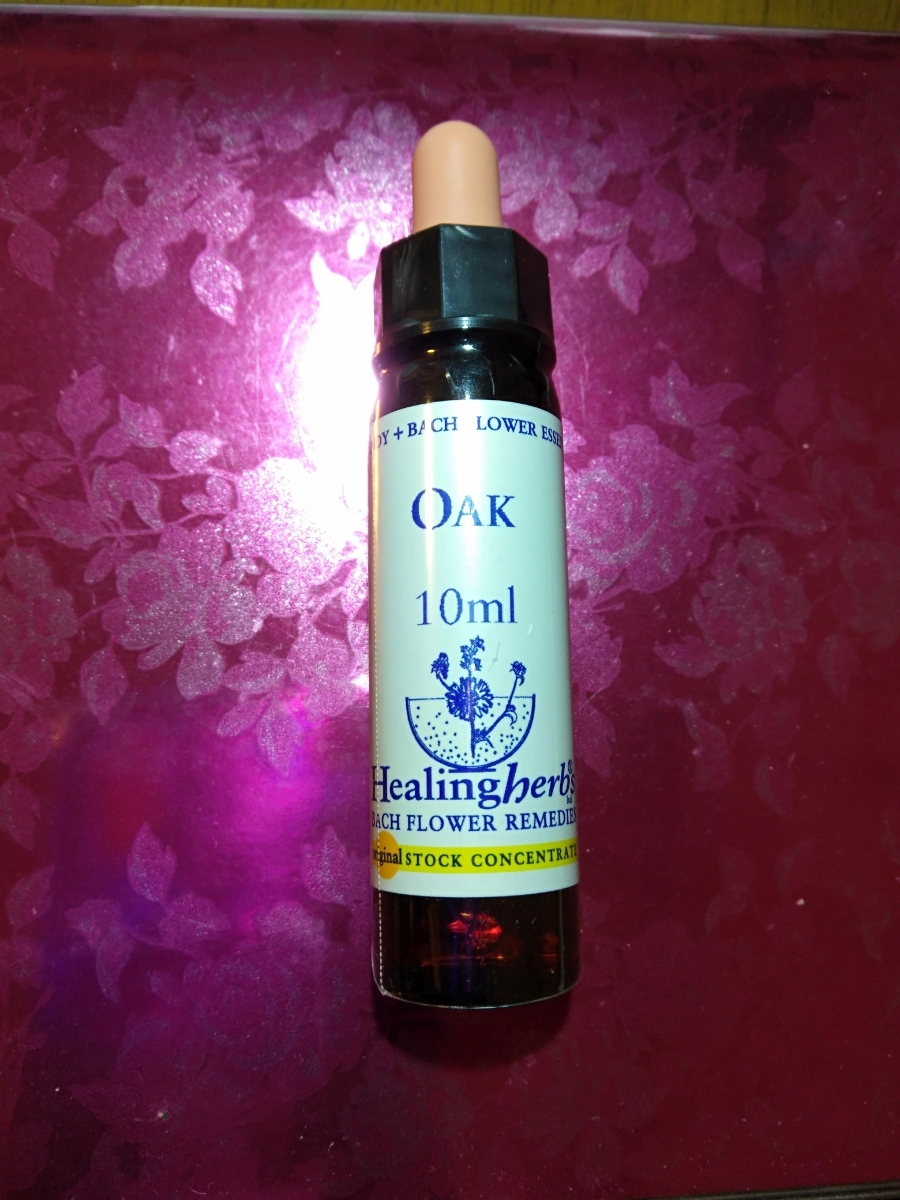 【未使用 （詳細）】22.オーク Oak（ナラ）フラワーエッセンス 激安☆ヒーリングハーブス社 Healing Herbs Flower