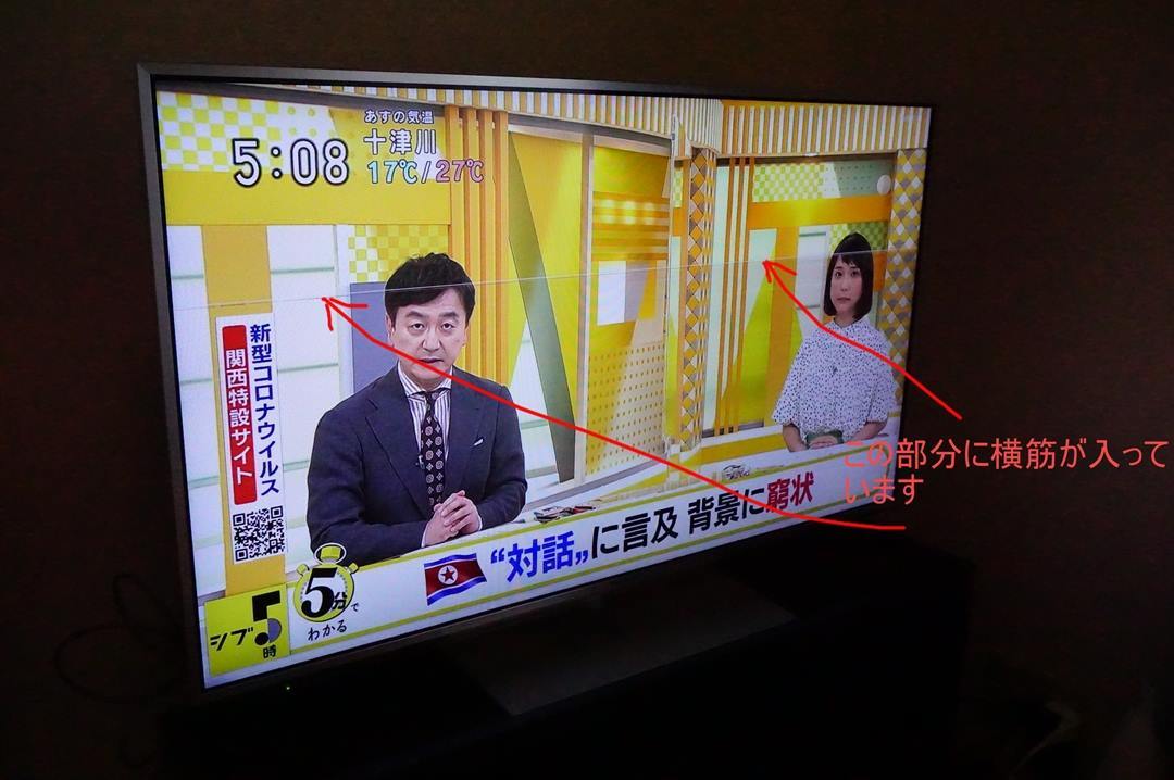 Panasonic 液晶テレビ：TH-L42DT60 画面に線が入ります。ジャンク品