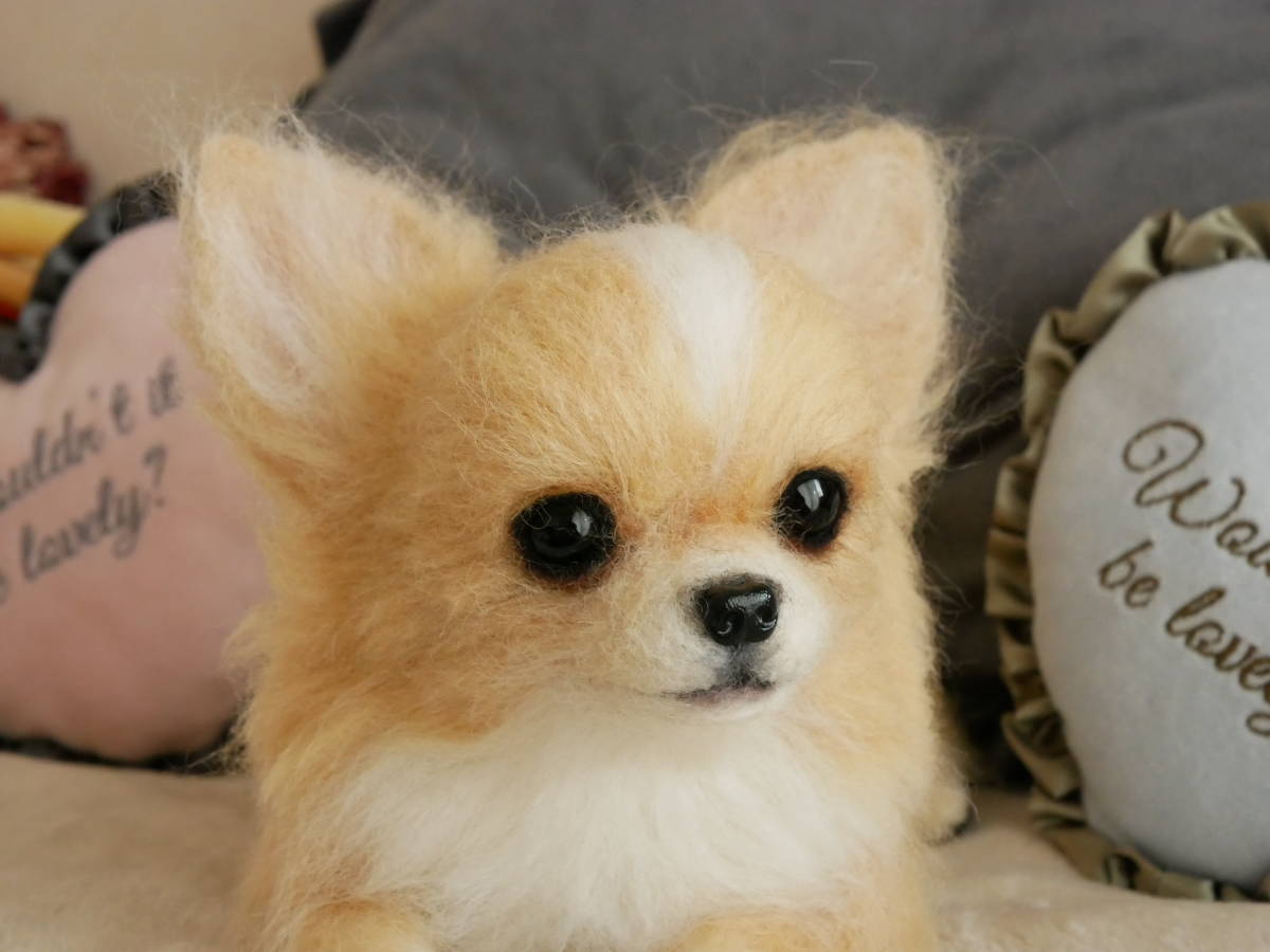 未使用】羊毛フェルト ハンドメイド アプリコット＆ホワイト チワワ 犬