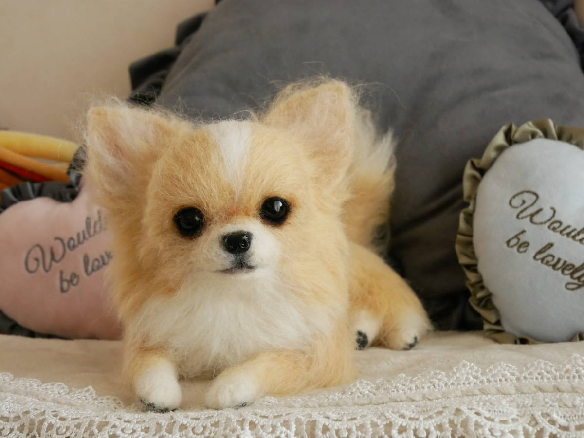 未使用】羊毛フェルト ハンドメイド アプリコット＆ホワイト チワワ 犬