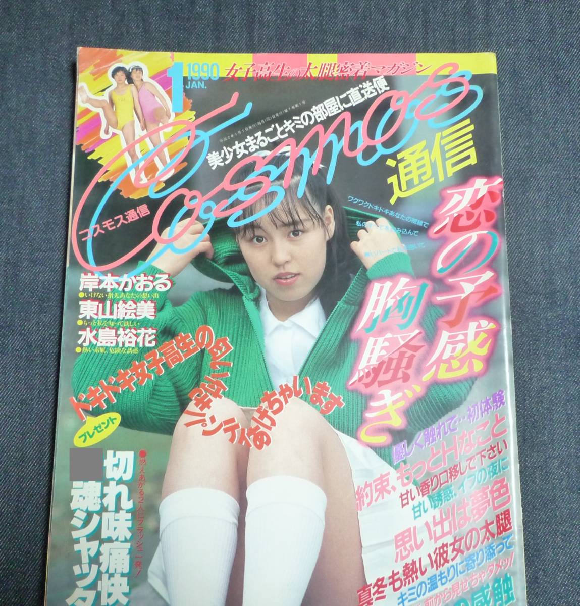 セクシーアクション 1991年9月号 セクシーアクション 1991-9