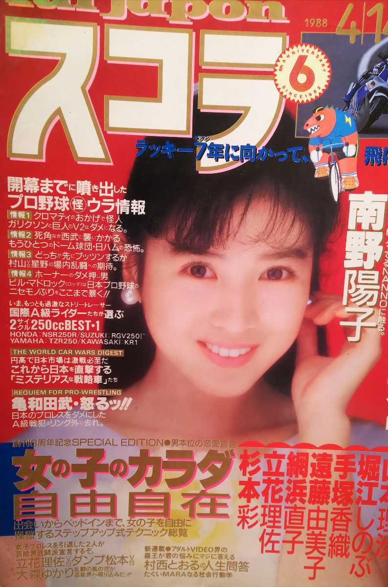 いぬわん 南野陽子　大量　切り抜き　ファイル　2冊　120P いぬわん様専用 南野陽子 大量 切り抜き ファイル 2冊 120P