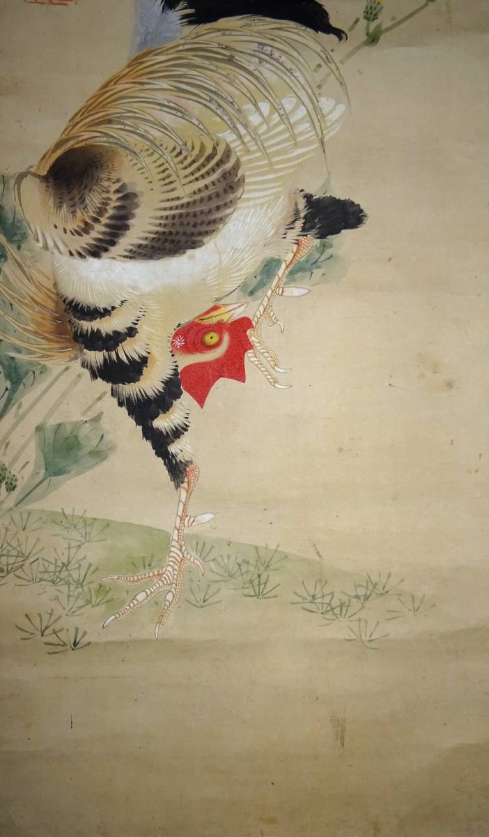 肉筆人物画 唐人お吉/肉筆絹本掛軸/骨董肉筆画 掛軸 Amazon.co.jp: 真作駒井源琦□西王母図大幅□唐美人図を得意と