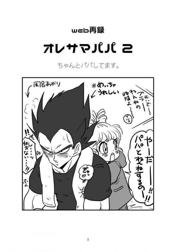 ドラゴンボール同人誌　ベジータ×ブルマ　ベジブル ☆ドラゴンボール同人誌☆ベジータ×ブルマ☆ベジブル ☆再録本☆
