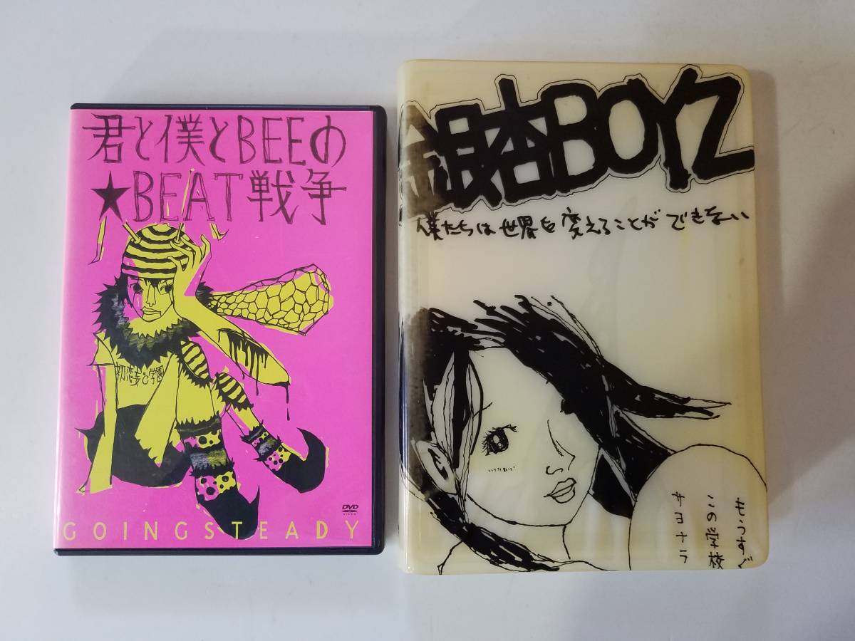 値下げ！【GOING STEADY/銀杏BOYZ】CD/DVD/本 23点まとめ売り